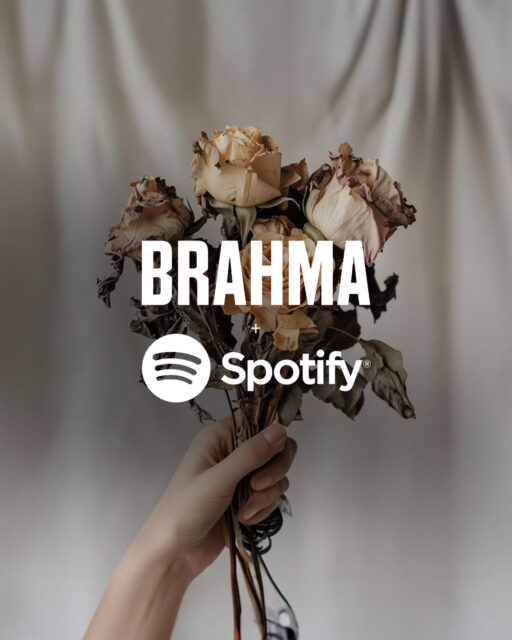 Brahma Hits
